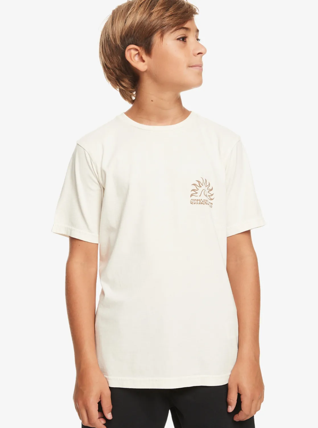 Quiksilver Boy'S 8-16 Earthy Type T-Shirt Birch New