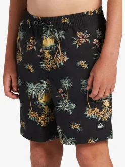 Quiksilver Boy'S 8-16 Everyday Mix Vl 15Nb Elastic Waist Shorts Black Palm Spritz Fashion