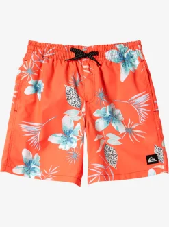 Quiksilver Boy'S 8-16 Everyday Mix Vl 15Nb Elastic Waist Shorts Fiery Coral Cheap