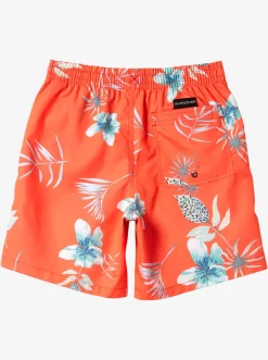 Quiksilver Boy'S 8-16 Everyday Mix Vl 15Nb Elastic Waist Shorts Fiery Coral Cheap
