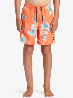 Quiksilver Boy'S 8-16 Everyday Mix Vl 15Nb Elastic Waist Shorts Fiery Coral Cheap