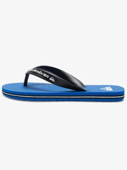 Quiksilver Boy'S 8-16 Molokai Core Flip-Flops Blue 1 New
