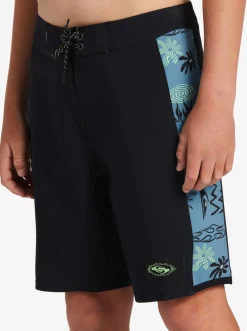 Quiksilver Boy'S 8-16 Surfsilk Radical Arch 16