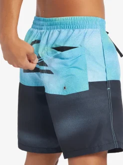 Quiksilver Butt Logo 17