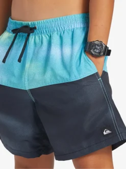 Quiksilver Butt Logo 17