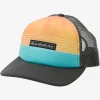 Quiksilver Emu Coop Trucker Hat Tarmac Online