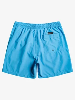 Quiksilver Everyday 17" Volleys For Young Men Blithe Hot