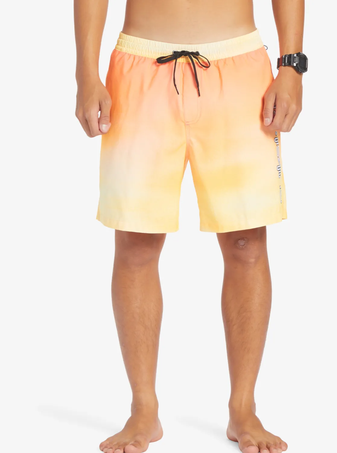 Quiksilver Everyday Breeze 17" Volleys Copper Tan Best Sale