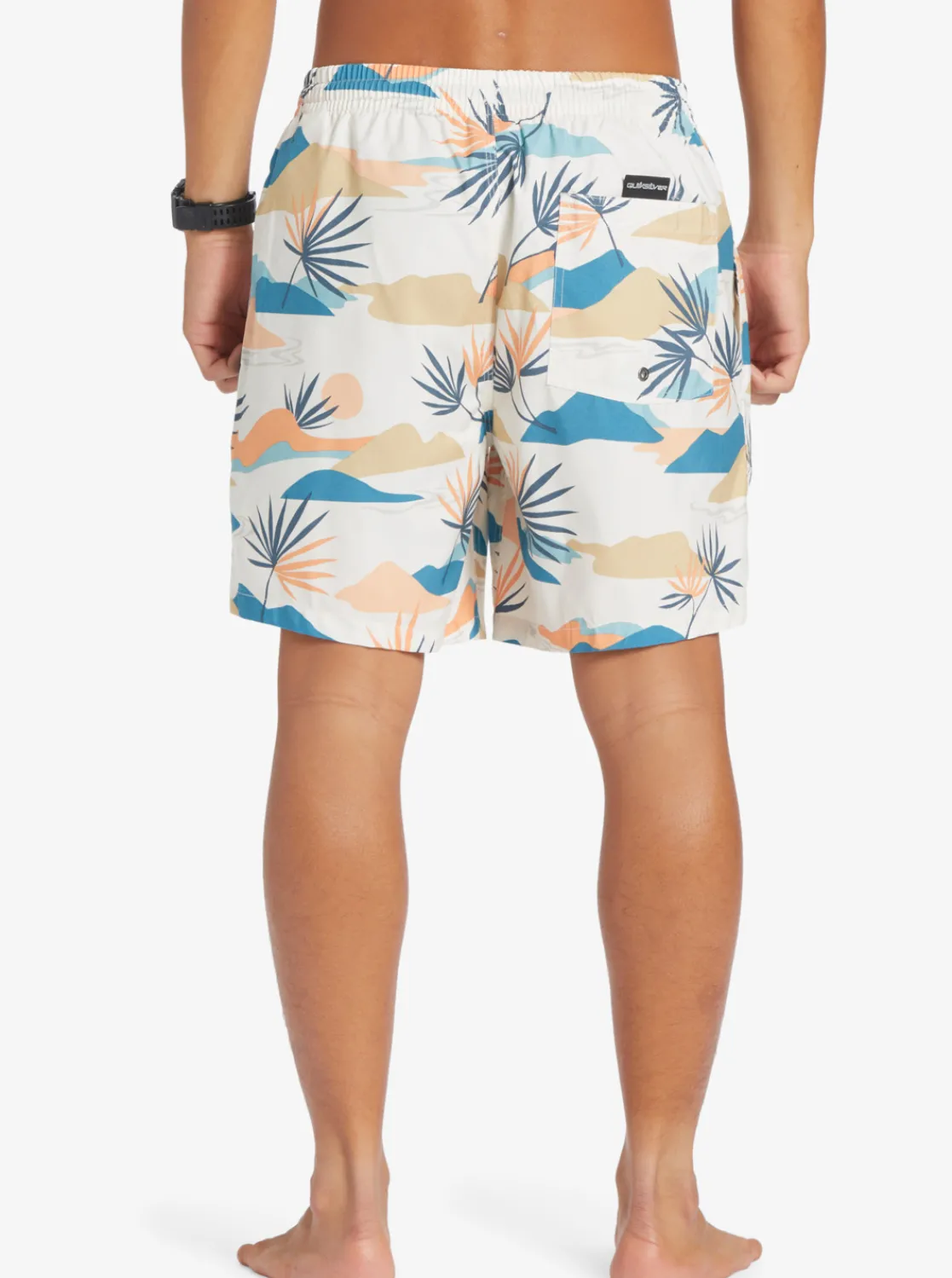 Quiksilver Everyday Mix 17" Volleys Birch Best Sale