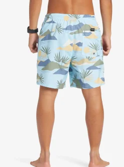 Quiksilver Everyday Mix 17