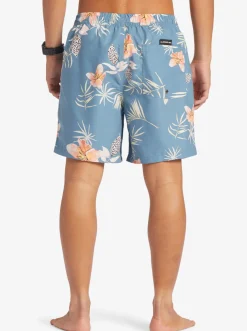 Quiksilver Everyday Mix 17