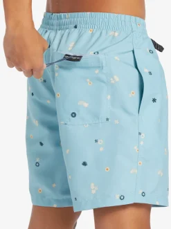 Quiksilver Everyday Mix 17