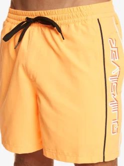 Quiksilver Everyday Vert 16