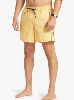 Quiksilver Everyday Vert 16