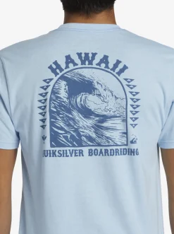 Quiksilver Hi Natural Resources T-Shirt Clear Sky Flash Sale