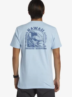 Quiksilver Hi Natural Resources T-Shirt Clear Sky Flash Sale
