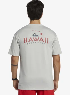 Quiksilver Hi Royalty Surf Short Sleeve Upf 50 Surf T-Shirt Grey Violet Hot