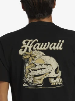 Quiksilver Hi Water On The Brain T-Shirt Black Best Sale