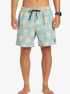 Quiksilver Re-Mix 17