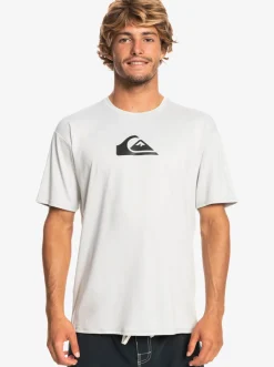 Quiksilver Solid Streak Short Sleeve Upf 50 Surf Tee Gray Violet Clearance