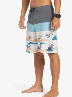 Quiksilver Surfsilk Panel 20