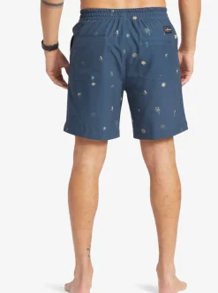 Quiksilver Taxer Print 18