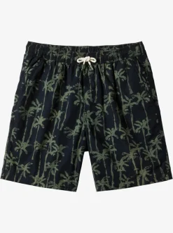 Quiksilver Taxer Print Elastic Waist Shorts Laurel Wreath Painted Palms Shop