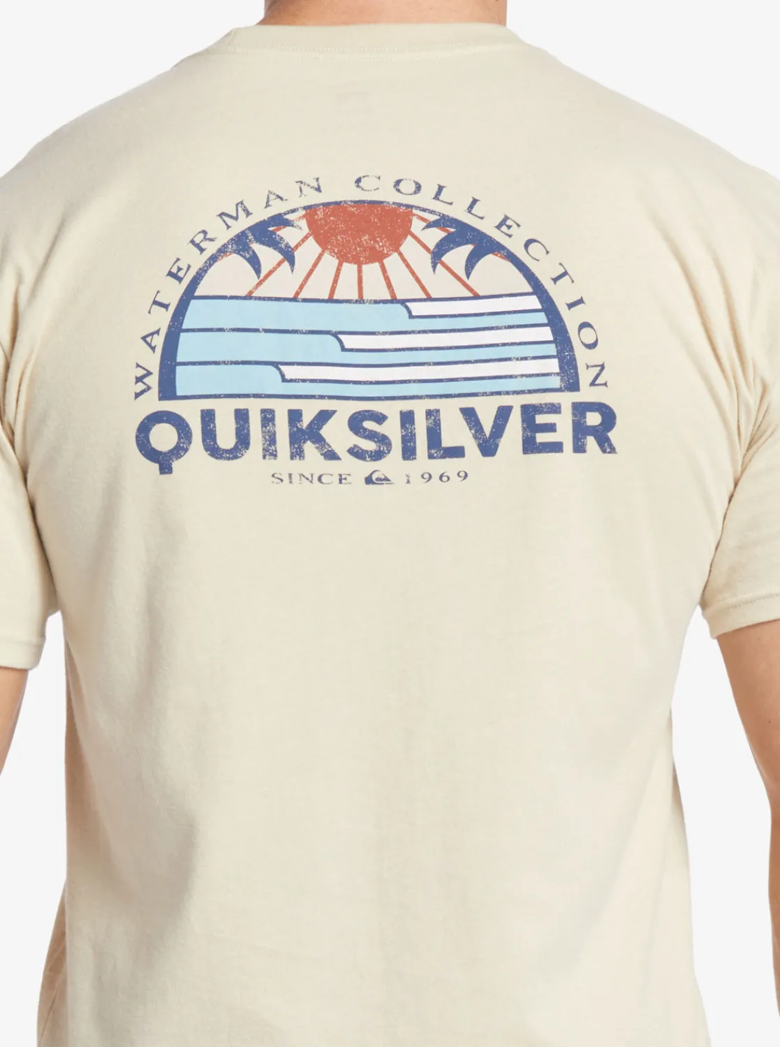 Quiksilver Waterman Set View T-Shirt Brown Rice New