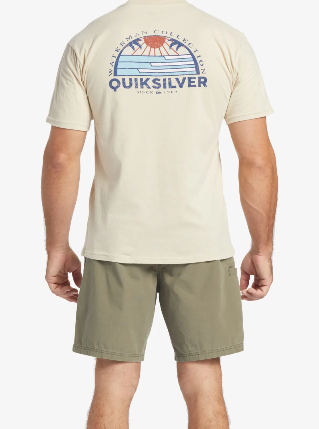 Quiksilver Waterman Set View T-Shirt Brown Rice New
